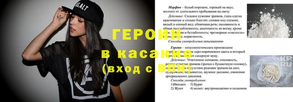 гашик Пестово