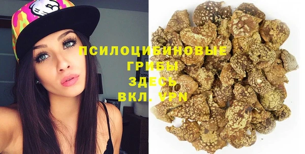 гашик Пестово
