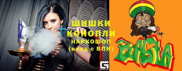 гашик Пестово